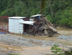 LANA Sebut DPRK Aceh Barat Tajam Menyoroti PT MGK, tapi Tumpul ke KPPA, Ada Apa?