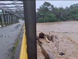 Ilegal Logging Diduga Jadi Penyebab Banjir di Sungai Mas