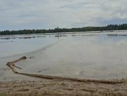 Lumpur Tebal Ubah Sawah di Bireuen Seperti Lapangan Terbang