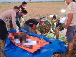Salah Satu Korban Banjir di Aceh Utara Ditemukan Meninggal di Persawahan