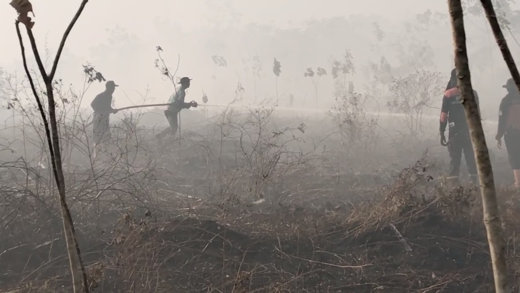 Karhutla Terus Berulang, GeRAK Aceh Barat Dorong Penegakan Hukum Lebih Tegas