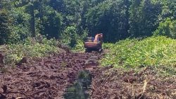 Belasan Hektare Lahan Gambut Rawa Tripa, Digarap Secara Ilegal