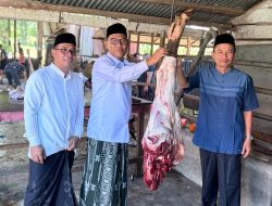 Kemenag Aceh Barat Sembelih 40 Ekor Hewan Qurban, Wujud Kepedulian dan Kebersamaan