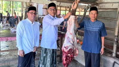 Kemenag Aceh Barat Sembelih 40 Ekor Hewan Qurban, Wujud Kepedulian dan Kebersamaan