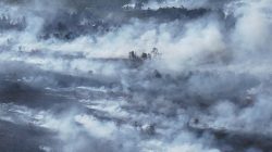 HAkA Sumatra: Citra Satelit Deteksi 280 Hektare Area Terbakar di Aceh Barat