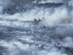 HAkA Sumatra: Citra Satelit Deteksi 280 Hektare Area Terbakar di Aceh Barat