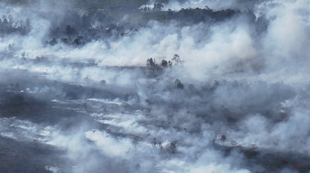 HAkA Sumatra: Citra Satelit Deteksi 280 Hektare Area Terbakar di Aceh Barat