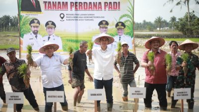 Pimpin Tanam Padi Perdana Pascabencana, Sekda Aceh: Stabilitas Pangan Harus Tetap Aman Pimpin Tanam Padi Perdana Pascabencana, Sekda Aceh: Stabilitas Pangan Harus Tetap Aman