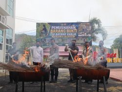 Musnahkan 110 Batang Ganja, Kapolres Aceh Selatan Tegaskan Komitmen Berantas Narkotika