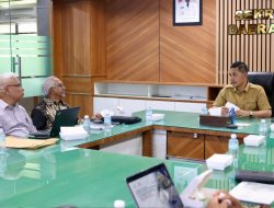 Pabrik Metanol Segera Dibangun di KEK Arun, Aceh Siap Jadi Pusat Hilirisasi Gas