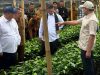 Wagub Apresiasi Dukungan Presiden dan Mentan untuk Pengembangan Sektor Pertanian di Aceh