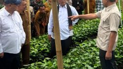 Wagub Apresiasi Dukungan Presiden dan Mentan untuk Pengembangan Sektor Pertanian di Aceh Wagub Apresiasi Dukungan Presiden dan Mentan untuk Pengembangan Sektor Pertanian di Aceh