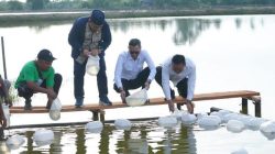 KKP Targetkan 15 Ribu Hektare Tambak Aceh Kembali Produktif hingga Akhir 2026 KKP Targetkan 15 Ribu Hektare Tambak Aceh Kembali Produktif hingga Akhir 2026