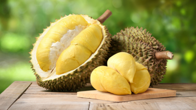 Distanbun Aceh Perkuat Plasma Nutfah Durian Lokal, Siapkan Benih Unggul Bernilai Ekonomi Tinggi