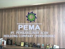 Transformasi PT PEMA Butuh Kepemimpinan Strategis, MFF Syndicate Nilai Dr. Said Mulyadi Layak Dipertimbangkan