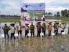 Aceh Utara Gencarkan Gerakan Tanam Padi Serempak, Kejar Target Luas Tanam 30.067 Hektare