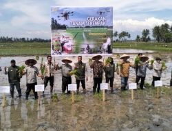 Aceh Utara Gencarkan Gerakan Tanam Padi Serempak, Kejar Target Luas Tanam 30.067 Hektare