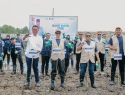 BSI Tanam 15.000 Mangrove di Aceh Tamiang, Dukung Pemulihan Pesisir dan Ekonomi Masyarakat