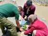 IMM Aceh Barat Hijaukan Pinggiran Sungai Gampong Jambak Lewat Green Action