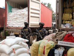 Impor Diklaim Bahan Kimia, Bea Cukai Temukan 194,9 Ton Beras