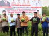 Panen Perdana Semangka Non-Biji di Simeulue, Bupati Dorong Pengembangan Hortikultura
