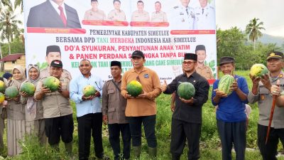 Panen Perdana Semangka Non-Biji di Simeulue, Bupati Dorong Pengembangan Hortikultura