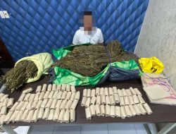 Polisi Sita 15 Kilogram Ganja dari Rumah Warga di Aceh Barat