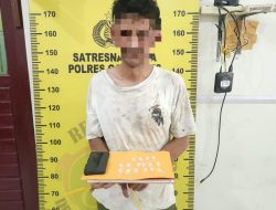ASN di Gayo Lues Diduga Terlibat Peredaran Sabu, Polisi Sita 17 Paket Narkotika