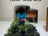Tanam Ganja di Pekarangan Rumah Warga, Pria di Banda Aceh Diamankan Polisi