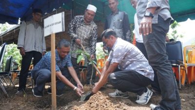 Kadis Pertanian Aceh Besar Apresiasi Kelompok Tani Jeumpa Gadeng, Usulkan Cetak Sawah 900 Hektare